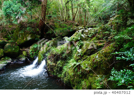 丹南のるり渓 40407012