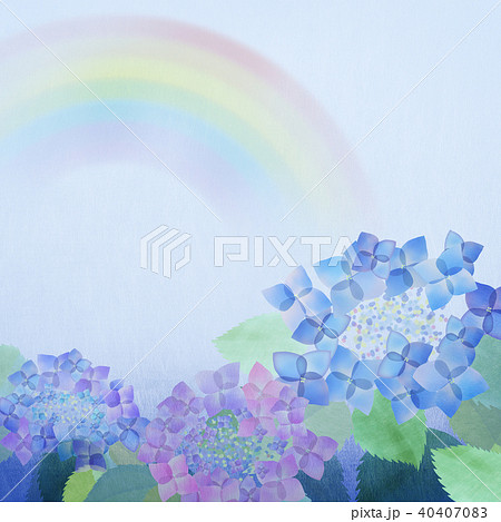 背景 紫陽花 虹のイラスト素材
