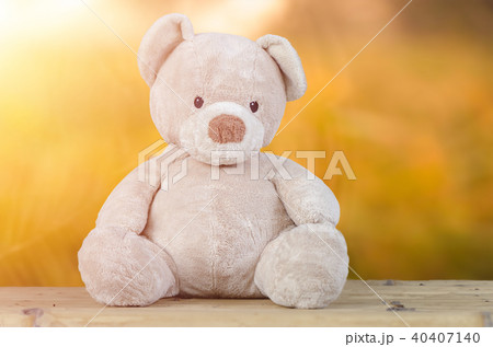 Teddy bear with green nature background. Teddy bear with green nature background. 40407140