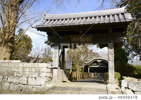 本妙寺 本院 本妙寺 本院 40409378