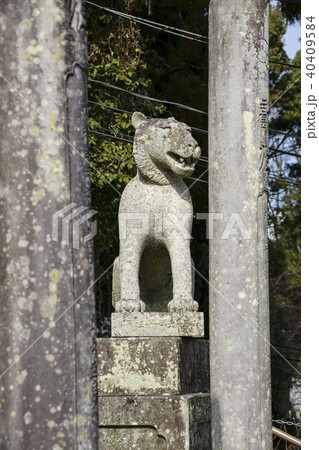 本妙寺　参道 40409584