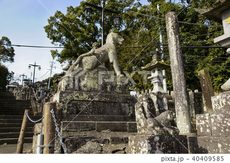 本妙寺　参道 40409585