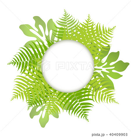 モンステラ 椰子の葉 レジャー 南国 フレーム 癒し ハワイのイラスト素材 40409903 Pixta