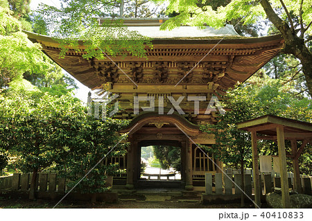 丸山神社 40410833