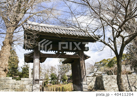 本妙寺 星壽林 40411204