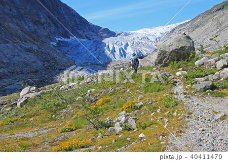 A mountain guide hiking to Fabergstolsbreen, a glacier arm of the large Jostedalsbreen glacier 40411470