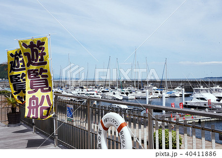 道の駅 伊東マリンタウン マリーナ 道の駅 伊東マリンタウン マリーナ 40411886
