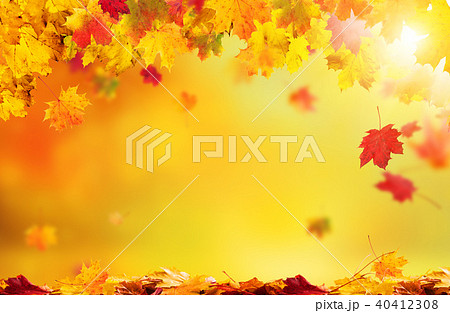 Autumn abstract background with falling leaves Autumn abstract background with falling leaves 40412308