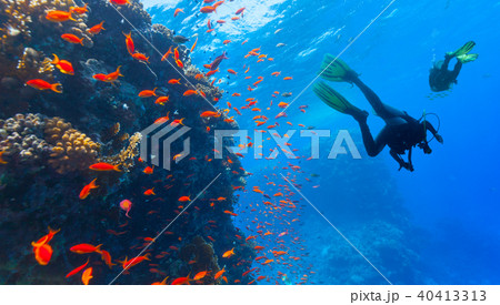 Scuba diver explore a coral reef Scuba diver explore a coral reef 40413313