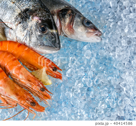 Seafood placed on ice drift 40414586