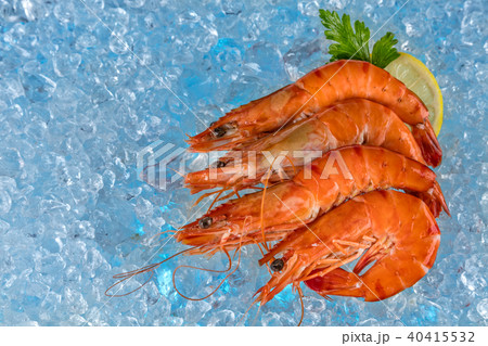 Fresh prawns on ice drift 40415532