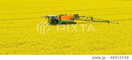 Tractor spraying rape field Tractor spraying rape field 40415549
