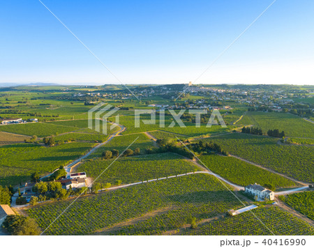 Sunrise on vineyard in Chateauneuf du Pape, France Sunrise on vineyard in Chateauneuf du Pape, France 40416990