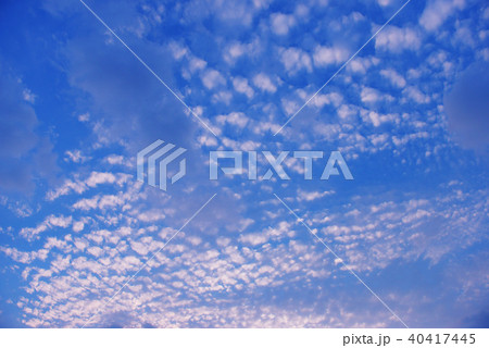 国直海岸 40417445