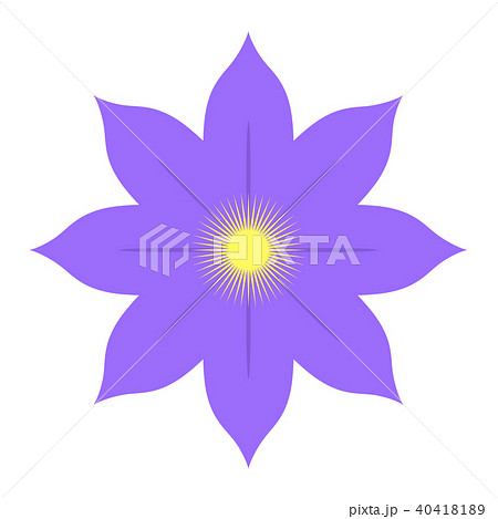 クレマチス 40418189