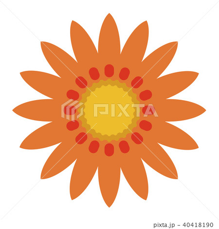 ガザニア 40418190