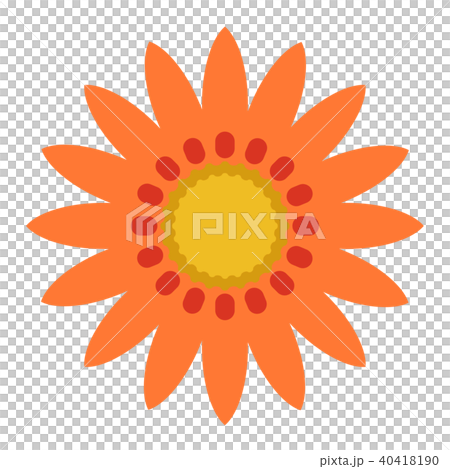 勳章菊屬 勳章菊屬 40418190