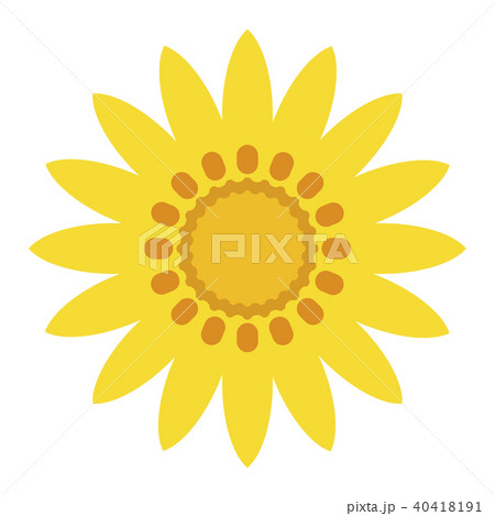 ガザニア 40418191