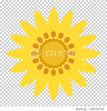 ガザニア 40418191