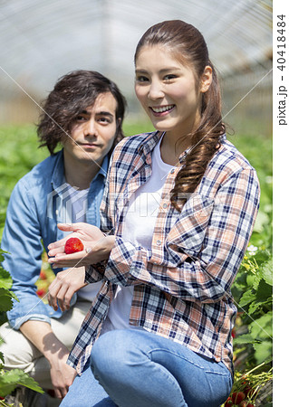 イチゴ狩りをするカップル 40418484