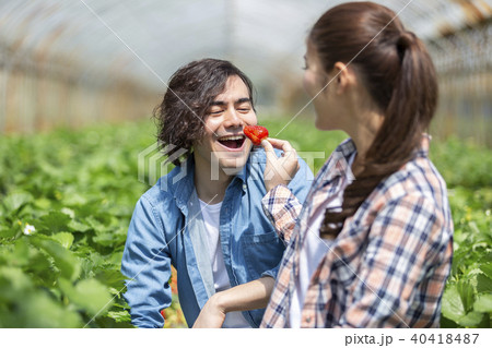 イチゴ狩りをするカップル 40418487