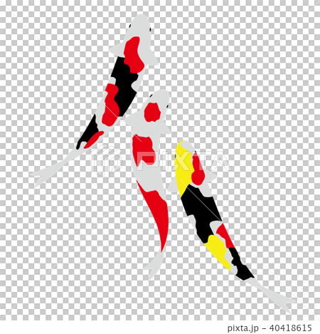 鯉のシンクロナイズドスイミング 40418615