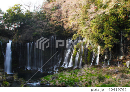 白糸の滝 白糸の滝 40419762
