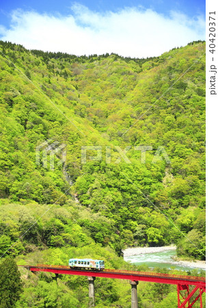 新緑の越美北線 40420371