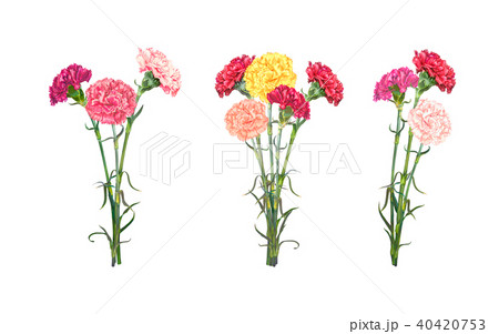 Set of three carnation bouguets 40420753