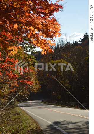 秋の山の中を走るワインディングロード 40421957