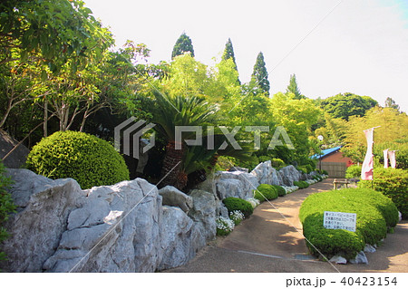 白野江植物公園 40423154