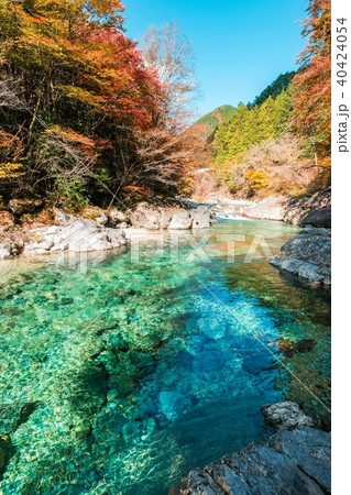 阿寺渓谷（１１月） 40424054