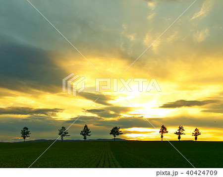 女満別メルヘンの丘 夕景 女満別メルヘンの丘 夕景 40424709