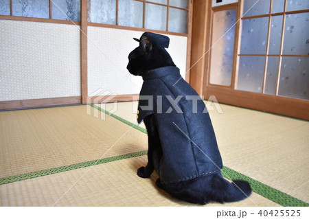 コスプレをした黒猫の写真（中学生） 40425525