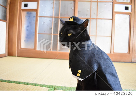 コスプレをした黒猫の写真（中学生） 40425526