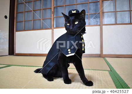 コスプレをした黒猫の写真（中学生） 40425527