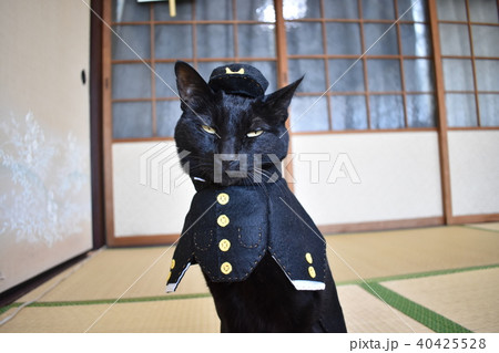 コスプレをした黒猫の写真（中学生） 40425528