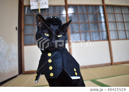 コスプレをした黒猫の写真（中学生） 40425529