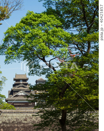 新緑に宇土櫓 40425857