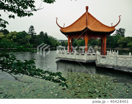 緑ヶ丘公園 緑ヶ丘公園 40428401
