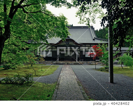 興聖寺 興聖寺 40428402