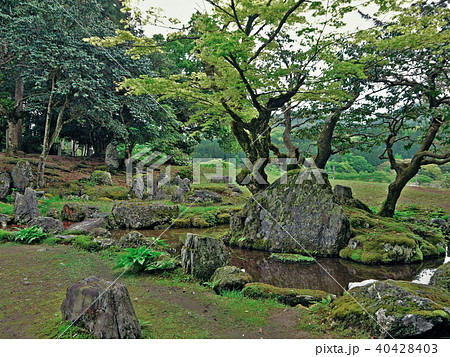 興聖寺 旧秀隣寺庭園 興聖寺 旧秀隣寺庭園 40428403