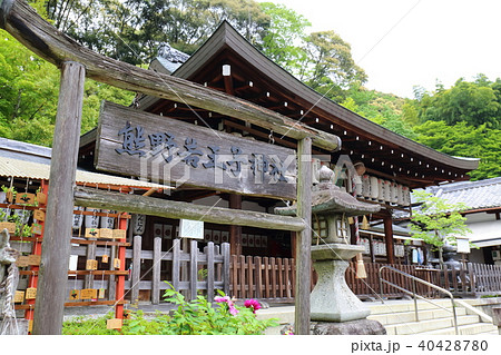 京都 熊野若王子神社 京都 熊野若王子神社 40428780