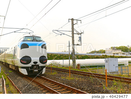 パンダくろしお号JR287 Panda face Express Train Kuroshio 94 パンダくろしお号JR287 Panda face Express Train Kuroshio 94 40429477