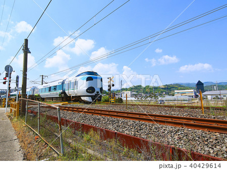 パンダくろしお号JR287 Panda face Express Train Kuroshio 95 40429614