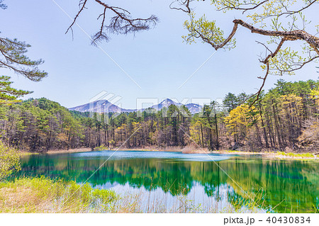 福島・裏磐梯 五色沼 るり沼 40430834