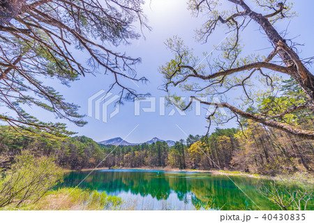 福島・裏磐梯 五色沼 るり沼 福島・裏磐梯 五色沼 るり沼 40430835