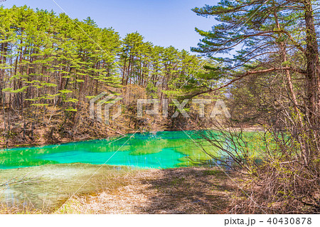 福島・裏磐梯 五色沼 青沼 福島・裏磐梯 五色沼 青沼 40430878
