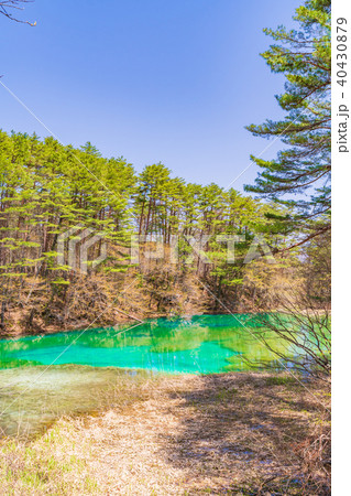 福島・裏磐梯 五色沼 青沼 福島・裏磐梯 五色沼 青沼 40430879