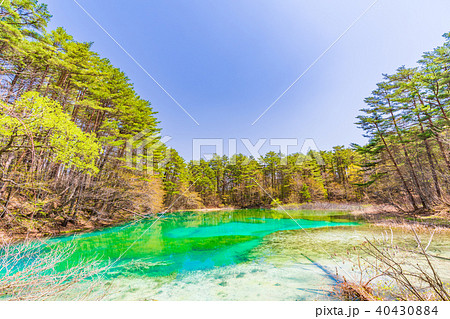福島・裏磐梯 五色沼 青沼 40430884